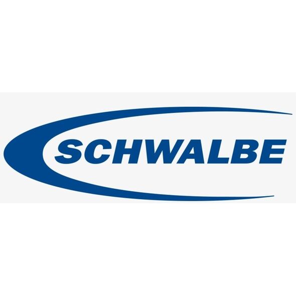 Schwalbe Rocket Ron Performance Addix mountain bike tire, 26 x 2.25
