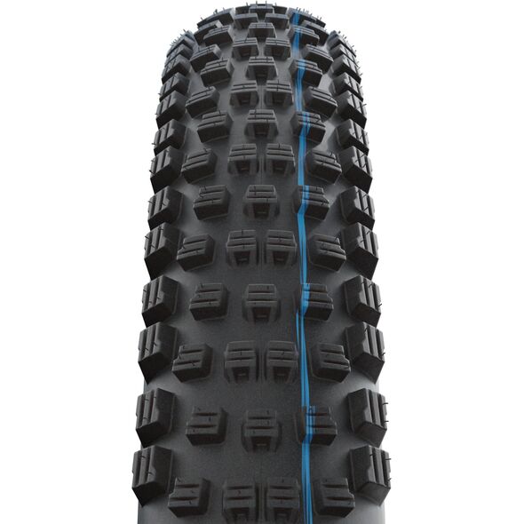 Schwalbe Wicked Will Tire, Evolution Super Ground, 29 x 2.4"