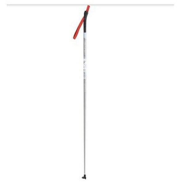 Μπαστούνια σκι αντοχής Apollo, 105 cm