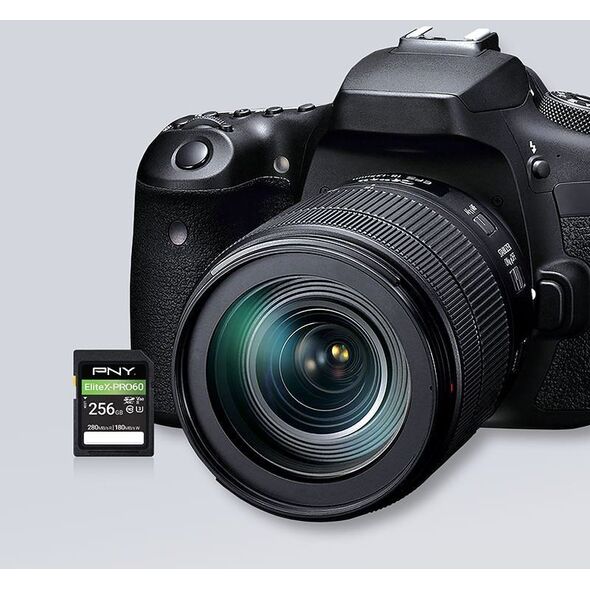 PNY SD EliteX-PRO 60 UHS-II 256GB Flash Memory Card