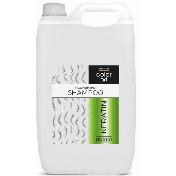 PROSALON PROFESSIONAL Basic Care Color Art Αναζωογονητικό Σαμπουάν για τα μαλλιά - Κερατίνη 5000ml