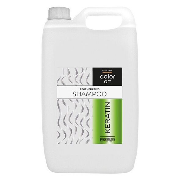 PROSALON PROFESSIONAL Basic Care Color Art Αναζωογονητικό Σαμπουάν για τα μαλλιά - Κερατίνη 5000ml