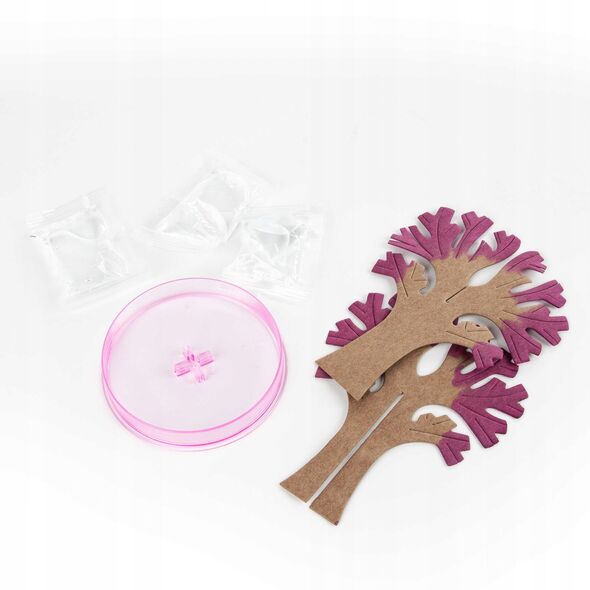 ZEST KREAT KWITNACE DRZEWO SAKURA KIDEA PUD