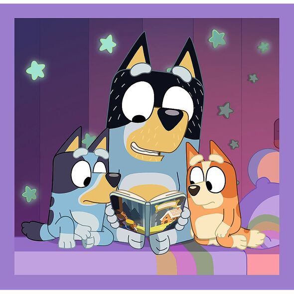 PUZZLE 3w1 Γνωρίστε Bluey /BBC Bluey 34895