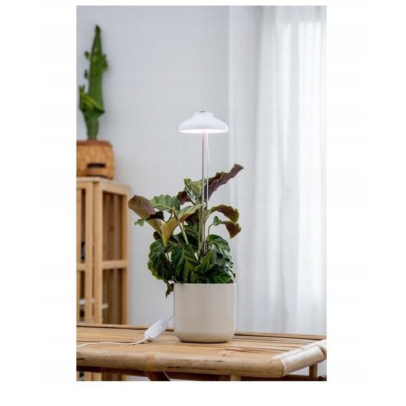 Φωτιστικό φυτών Airam Iris, IP20, 5W, 240 lm, λευκό