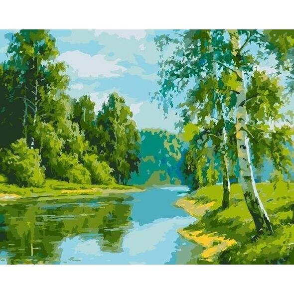 Malowanie po numerach - Brzozowa krawędź 40x50cm