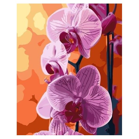 Malowanie po numerach - Orchidea 40x50cm