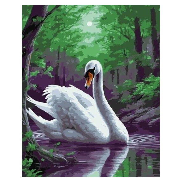 Malowanie po numerach - Magiczny łabędź 40x50cm