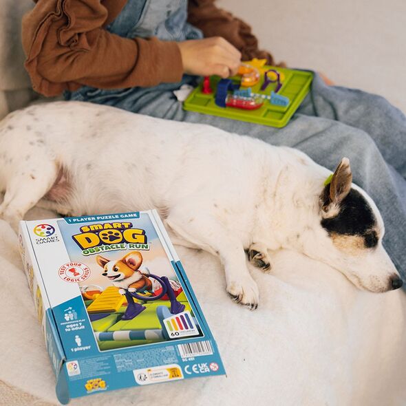 Παιχνίδι λογικής Brain Games, SMART DOG, LT