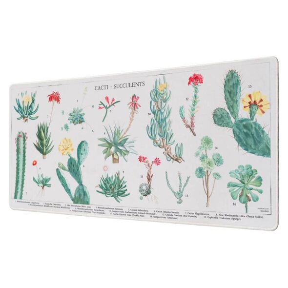 Grupo Erik Botanical Cacti Gaming Mouse Pad (ERIK62181) έως 12 άτοκες Δόσεις