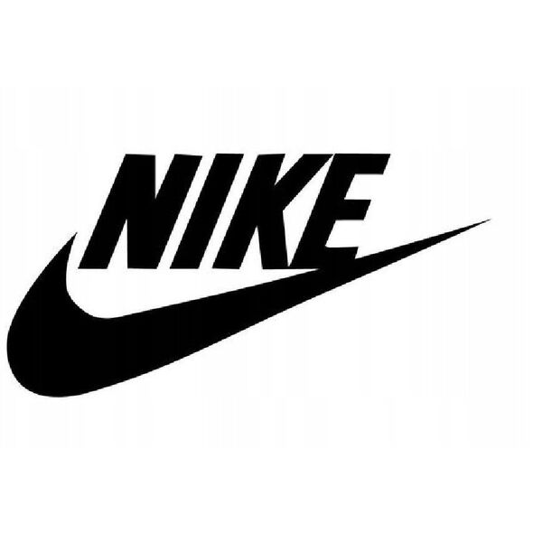Nike Dunk High Gs DB2179-111 λευκό 36,5