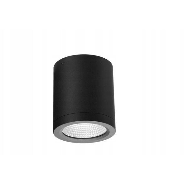 Azzardo Conyon AZ6027 πλαφονιέρα φωτιστικό οροφής spot IP54 1x15W LED 3000-4000-6000K 900 lm μαύρο