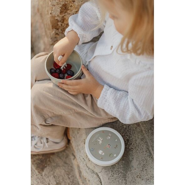 ΚΟΥΤΙ ΦΡΟΥΤΩΝ PUDEŁKO NA OWOCE CAMPUS 300 ML FOREST FRIENDS 107430065408
