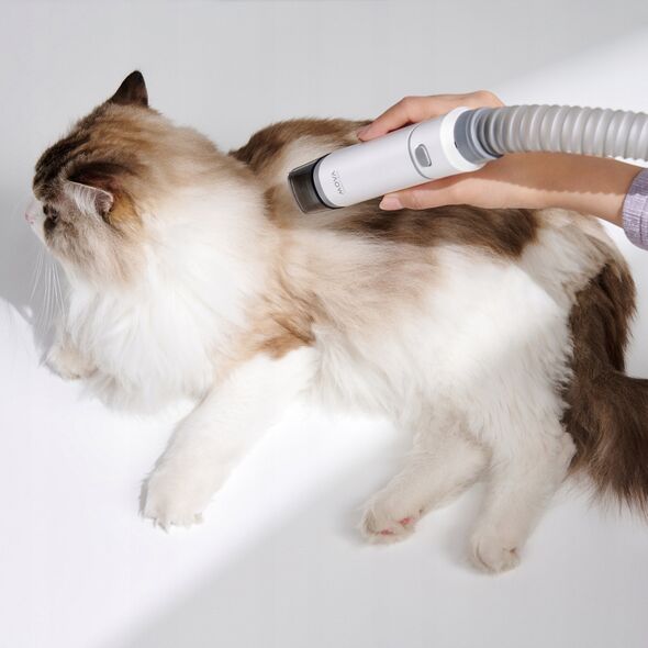 MovaVACUUM CLEANER PET GROOMING/KIT MOVA G1 PRO  PHC10A DREAME