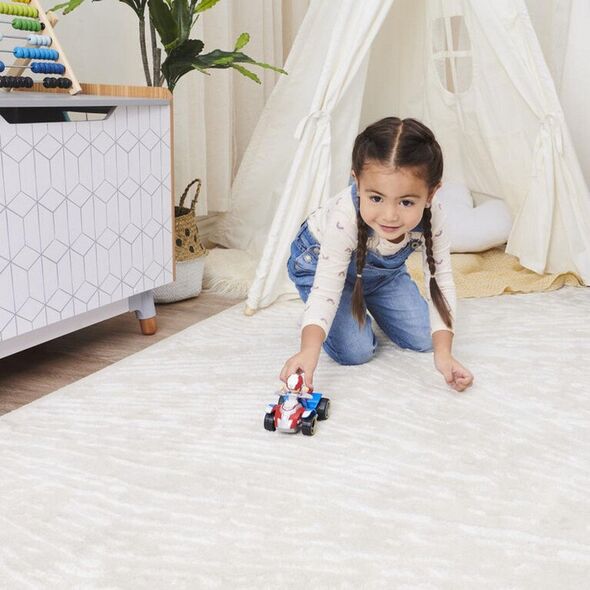 ΟΧΗΜΑ ΠΑΙΧΝΙΔΙΟΥ PAW PATROL RYDER 6069067