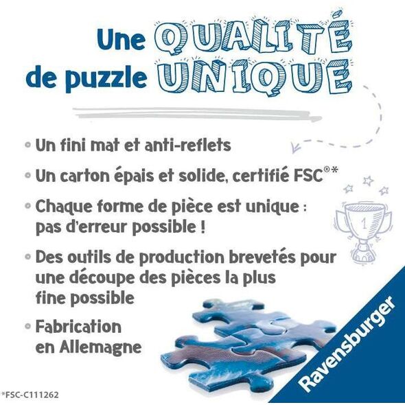 Ravensburger 17294, 2000 pc(s), 14 yr(s)