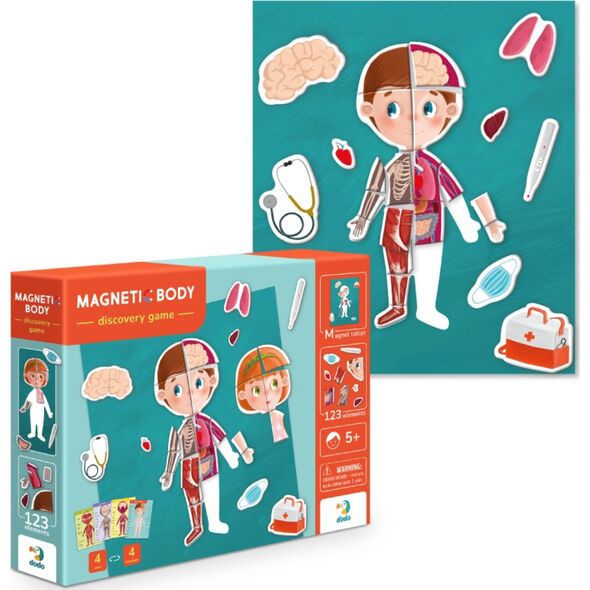 Dodo Magnetyczny Zestaw Edukacyjny Ludzkie Ciało Gra Magnetyczna Części Ciała