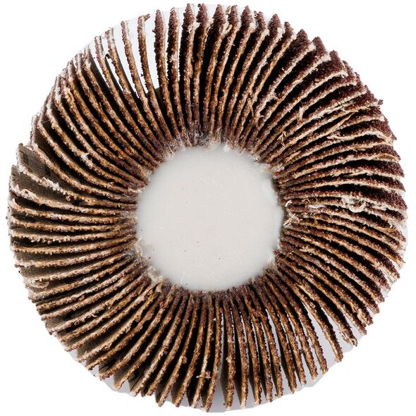 Ściernica listkowa trzpieniowa 60 x 15 x 6 mm, P100