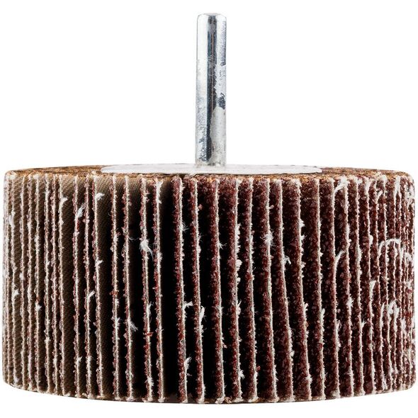Ściernica listkowa trzpieniowa 60 x 30 x 6 mm, P40