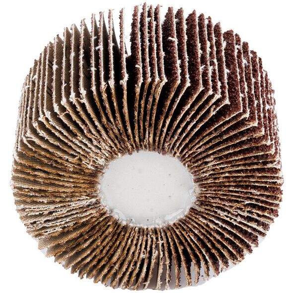 Ściernica listkowa trzpieniowa 60 x 30 x 6 mm, P40