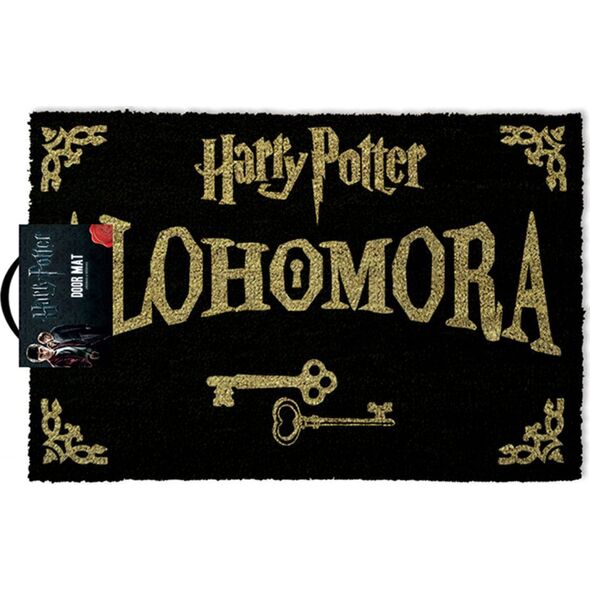 Harry Potter Alohomora - wycieraczka 60x40 cm
