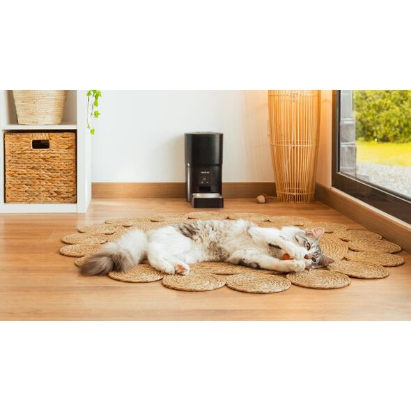 Cecotec Automatyczny Dozownik do karmy Pumba 6000 Purrfect Meal Smart  (9565)