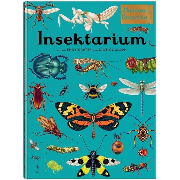 W Muzeum. Insektarium. Muzeum Owadów