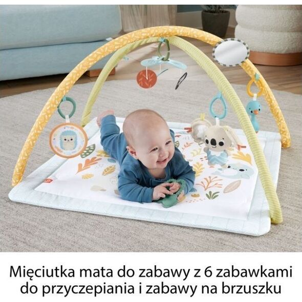Mattel FP MATA SENSORYCZNA PREMIUM HRB15 WB1