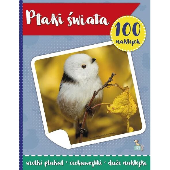 100 naklejek z plakatem. Ptaki świata EDUKAMP