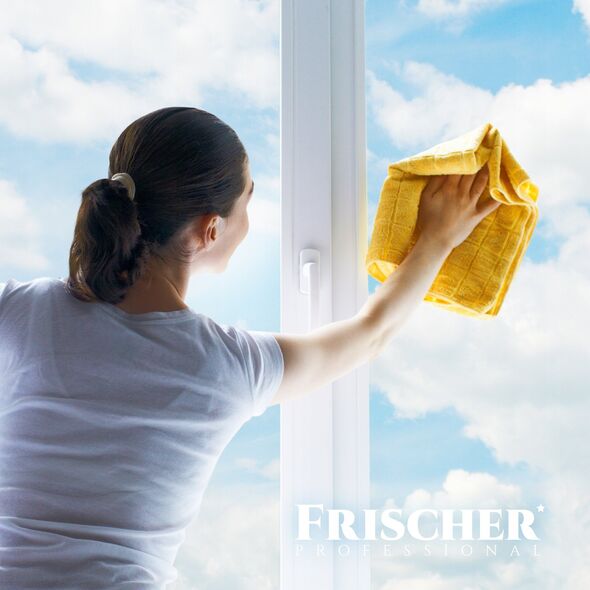 Υγρό καθαρισμού τζαμιών Frischer με αντιθαμβωτική λειτουργία 1λ