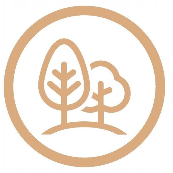 Μπαταρία κουζίνας Invena με σύστημα Eco Start Ligaria, χρυσό/μαύρο BZ-39-009-L