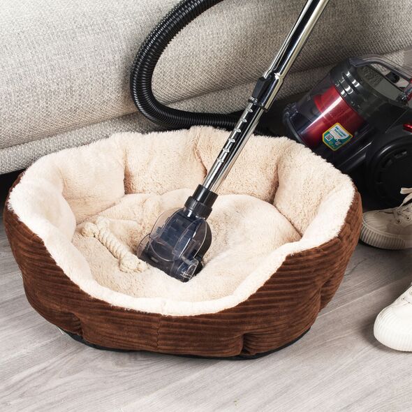 Σκούπα χωρίς σακούλα 2 σε 1 Beldray 700 W, 2 l