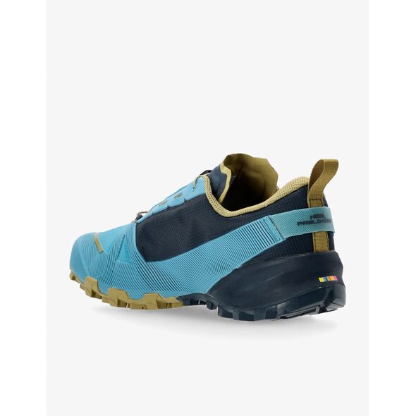 Ανδρικά παπούτσια trail Dynafit Traverse GTX - storm blue/blueberry