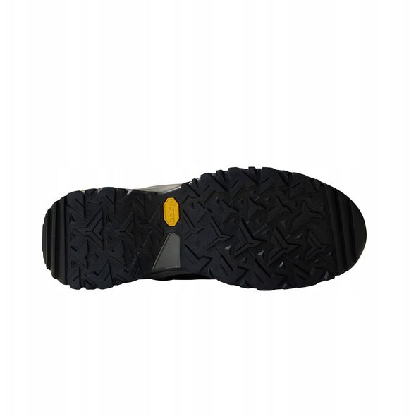 Παπούτσια Hedgehog GTX TNF μαύρο άσφαλτο γκρι US 11,5