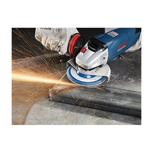 Δίσκος λείανσης PROFI για μέταλλο 125x60 PROSTA