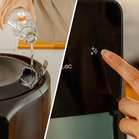 Frytkownica beztłuszczowa Cecotec CecoFry Rain Air fryer