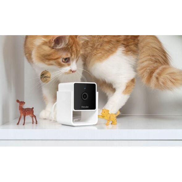 Petcube Cam | Κάμερα παρακολούθησης κατοικιδίων | WiFi, 1080p
