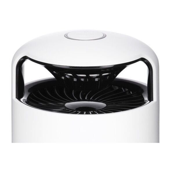 MOSQUITO TRAP PICTORIS/COP001121 STYLIES