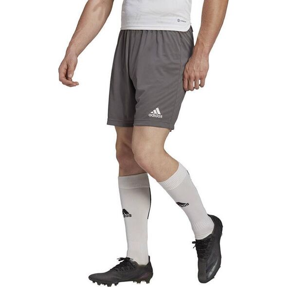 Adidas Spodenki adidas ENTRADA 22 Short H57505 H57505 szary XXXL