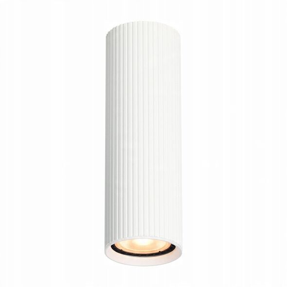 Italux Rilok CLN-83920-M-WH plafon lampa sufitowa spot 1x10W GU10 biały