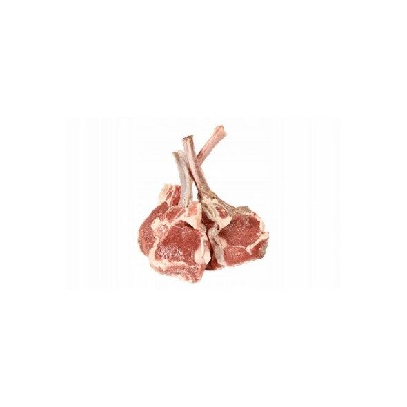 Ontario Adult Medium su ėriena ir ryžiais 12kg