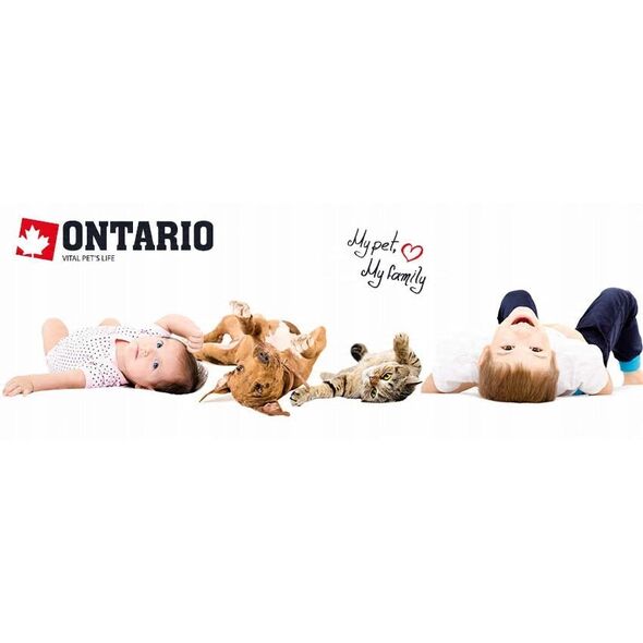 Ontario Adult Medium su ėriena ir ryžiais 12kg