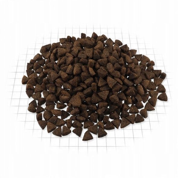 Ontario Adult Medium su ėriena ir ryžiais 12kg