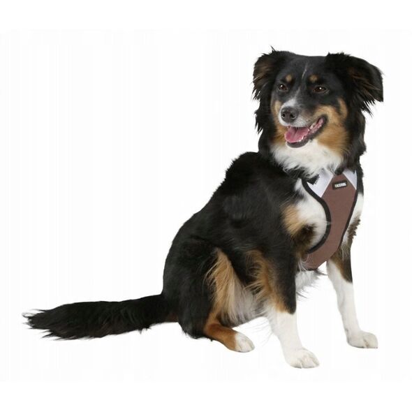Harness 50-62 cm 81020