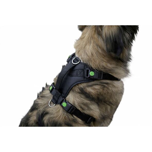 Harness 50-62 cm 81020