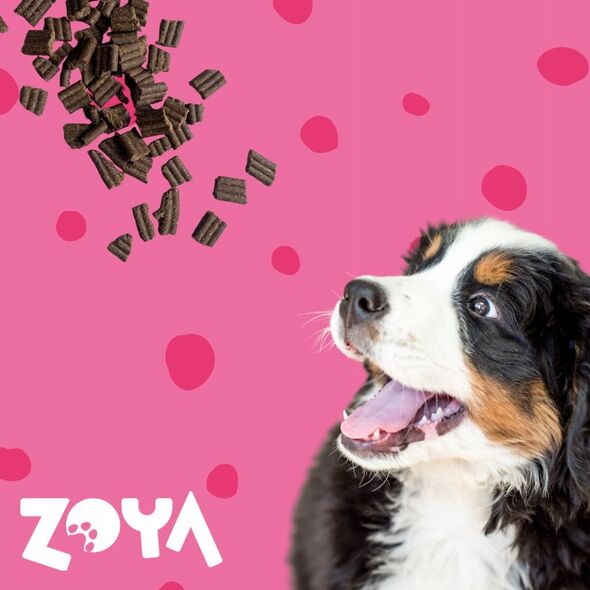 ZOYA COLDPRO Wołowina sucha karma dla psa 9kg