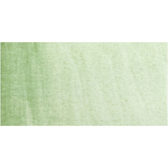 Rembrandt Watercolour Tube Green Earth 629