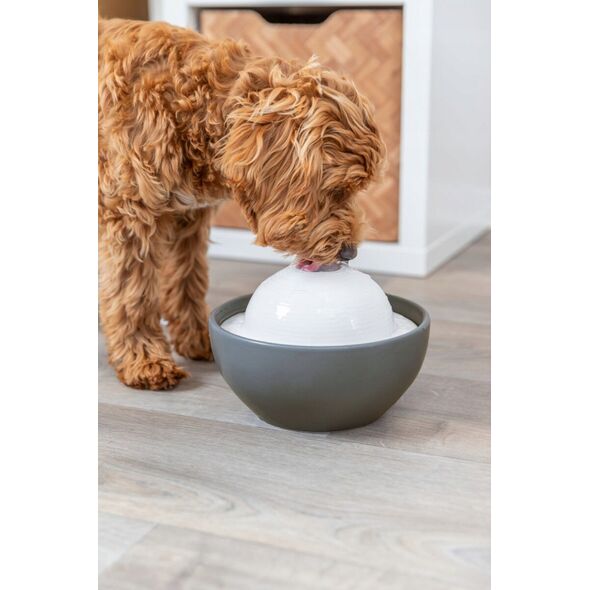 Trixie Vital Dome drinking fountain, 1.5 l/20×10×20 cm, grey/white