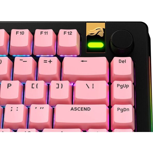 Glorious Glorious GPBT Basics Keycaps, ANSI Layout (US), PBT, Dye-Sub - Potion Pink