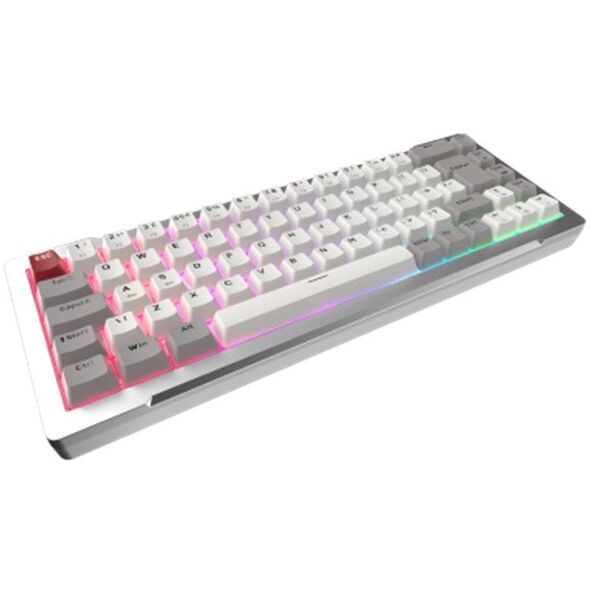 RAIJINTEK Raij MGA-68 Silver